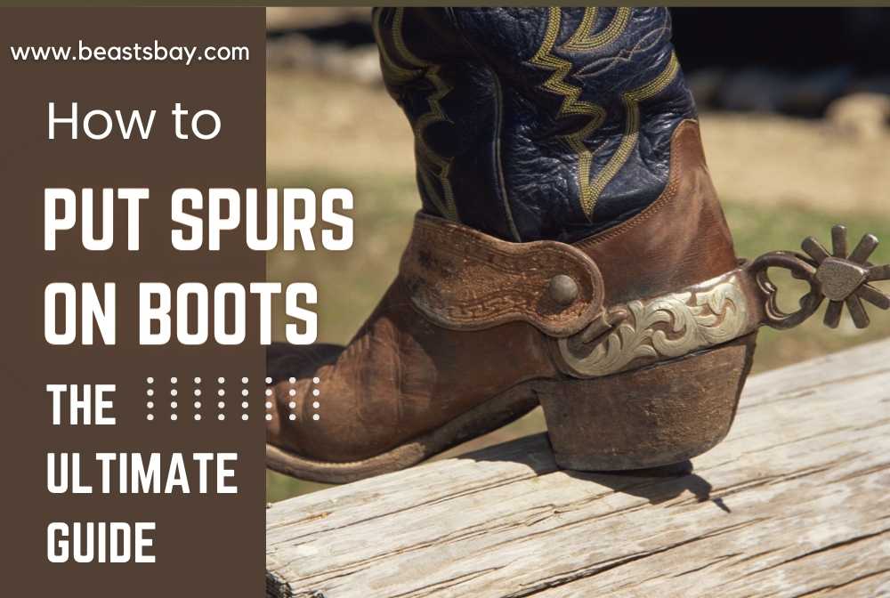 How to put Spurs on Boots The Ultimate Guide
