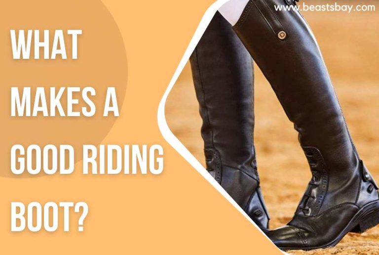 What Makes A Good Riding Boot