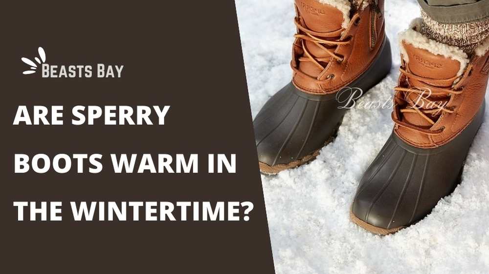 Are Sperry Boots Warm in the Wintertime
