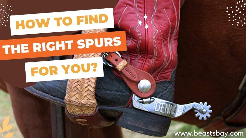How To Find The Right Spurs For You