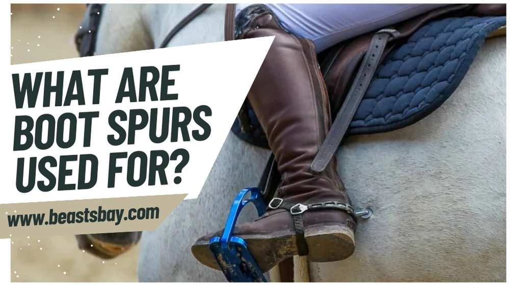 What Are Boot Spurs Used For
