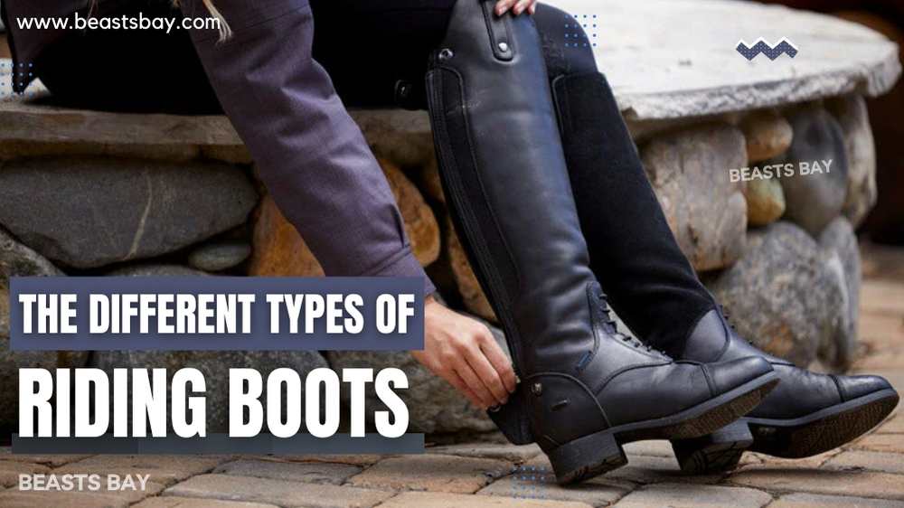 The Different Types of Riding Boots