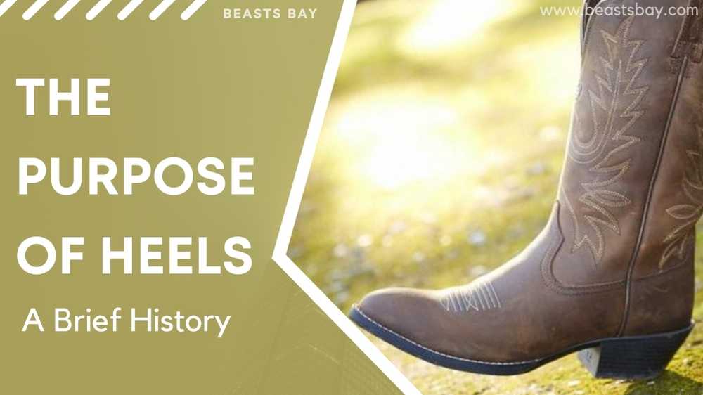Understanding The Purpose of Heels A Brief History